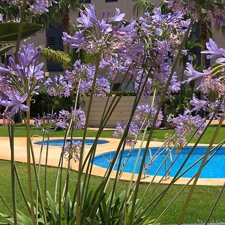 Apartment De Jardines Dénia Exterior foto